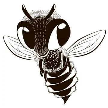 Happy monochrome bee. Stock Illustration