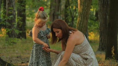 Happy mother and daughter collects acorns and cones in summer forest Stock Footage