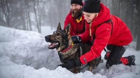Happy mountain rescue service with dog on operation outdoors in winter in forest Stock Photos