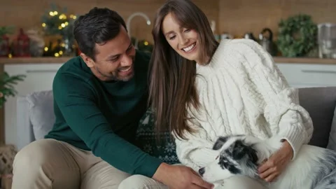 Happy multi ethnicity couple playing with dog while sitting at sofa in Christmas Stock Footage 218775268