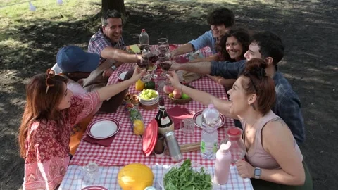 Happy multiracial friends having fun at picnic table Stock Footage 281428400