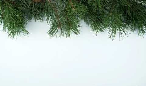Happy new year 2021, background with Pine branches on a concrete blue background Stock Photos