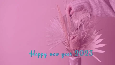Happy new year 2023 Stock Footage 220519267