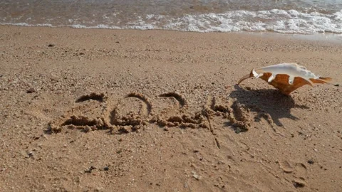 Happy New Year concept. Text 2024 handwritten in sand surface and sea shell.. 스톡 동영상 251801641
