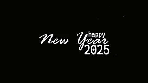 HAPPY NEW YEAR Stock Footage 295018859
