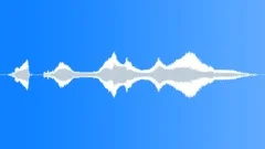 Happy new year, funny voiceSound Effect