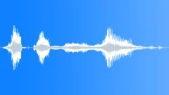 Happy new year, funny voiceSound Effect