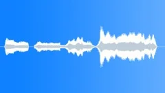 Happy new year, funny voiceSound Effect
