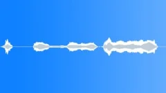 Happy new year, funny voiceSound Effect