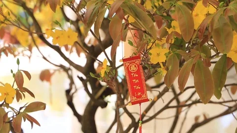 Happy new year with spring flower and wood banner on white background, amazing Stock Footage 124579657