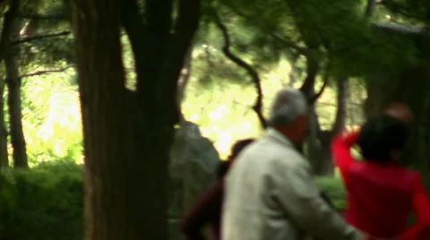 Happy old age 10. Dancing elderly pair out of focus Stock Footage 265690