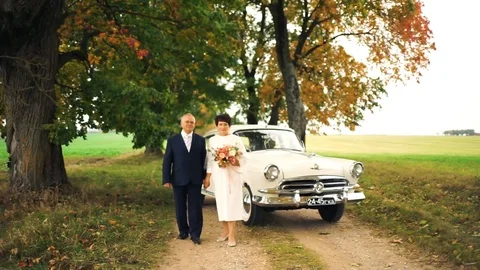 Happy old age. An elderly beautiful couple walking in the Park. Stock Footage 106404312