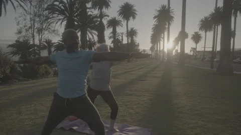Happy Older Interracial Couple Practice Yoga During Sunset at a Park Stock Footage 218629054