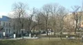 Happy people walking in city park on a sunny spring day, nature awakening HD Footage