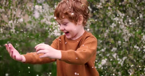 Happy redhead boy catching the fallen flower petals in spring garden Stock Footage 155432571