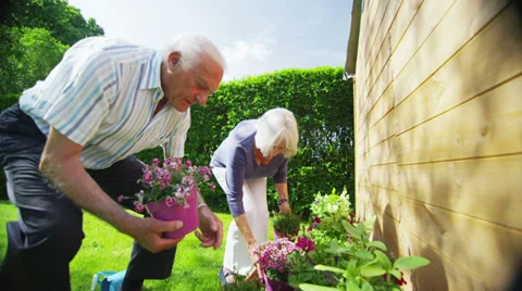 Happy retired couple gardening on a summer day Stock Footage