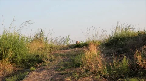 Happy running boy Stock Footage 60805597