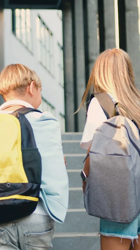 Happy school students outdoor walking and talking to each other. Portrait of che Stock Footage 331454084