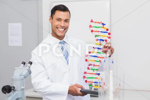 Happy scientist smiling at camera with DNA helix Stock Photos