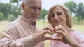 Happy senior couple showing heart gesture, love togetherness, soul mates romance HD Footage