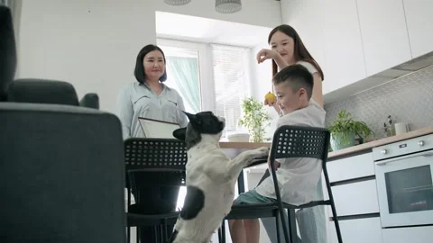 Happy siblings playing with their cute dog in the kitchen. Stock Footage 276409780