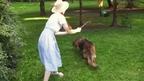 Happy smiling ginger lady taking free time with her big dog. Woman relaxing at Stock Footage 142684856