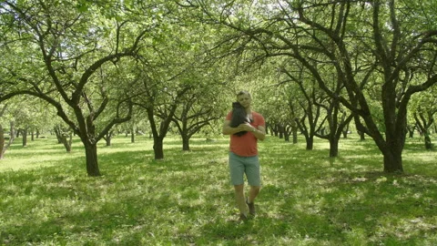 Happy smiling handsome man Stroking a Cat and walks through green trees alley. Stock Footage 110777250