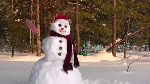 Happy snowman 스톡 동영상 8640191
