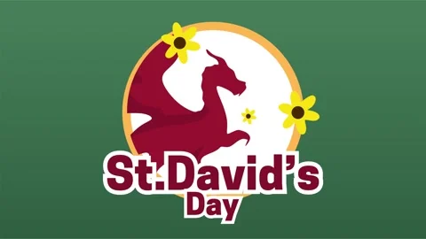 Happy St Davids Day Stock Footage 343329313