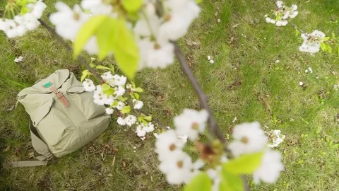 A happy student rests in the shade of spring trees after successful day Video stock 78643012