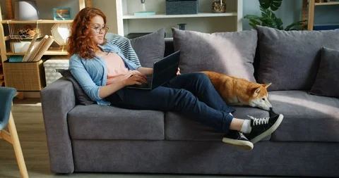 Happy student using laptop sitting on couch with shiba inu dog in apartment Stock-Footage 112415028
