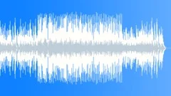 Happy Summer Days (positive, cheerful, playful, fun, uplifting, happy)Stock Music