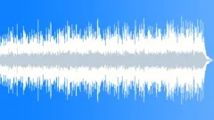 Happy Sunny Day Stock Music