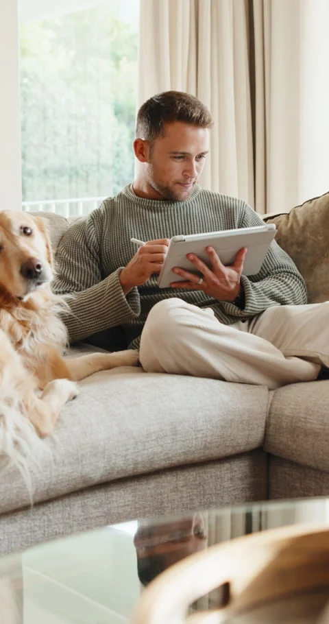 Happy, tablet and man with dog on sofa for remote work, web design and online Stock Footage 341418280