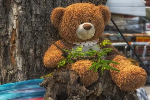 A happy teddy bear is sitting on a tree Stock Photos