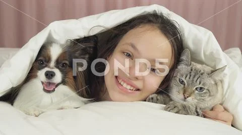 Happy teen girl communicates with dog Papillon and Thai cat in bed Stock Photos