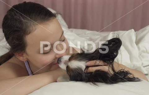 Happy teen girl kisses and plays with dog Papillon in bed Stock Photos