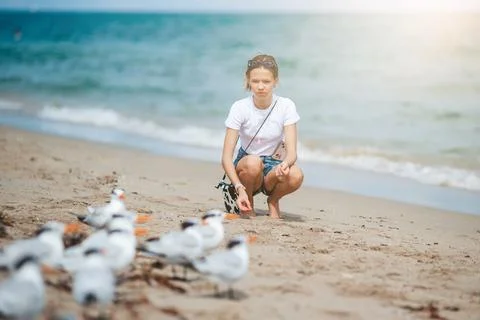 Happy teen girl playing with seagull birds, running and having fun on the beach Stock Photos