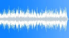 Happy Tempo Music with Fiddle (violin) for Electrifying Television Adverts Stock Music