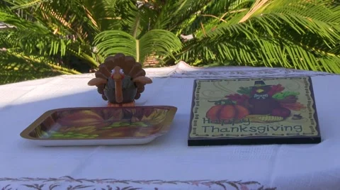 Happy Thanksgiving Video stock 43329115