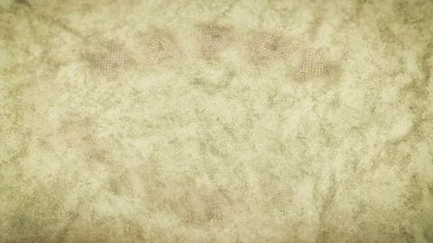 Happy Thanksgiving Stock Footage 76562312