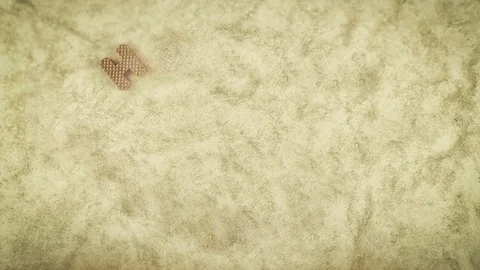 Happy Thanksgiving Stock Footage 76579572