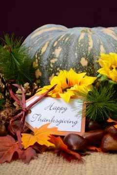 Happy Thanksgiving Pumpkin in Rustic Setting. Stock Photos