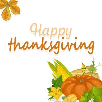 Happy Thanksgiving script with pumpkins and leaves vector illustration on whi Stock Illustration