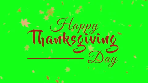 Happy Thanksgiving typography animation with leaf animate Stock Footage 285114481