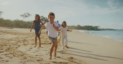 Happy Together Stock Footage 137894810