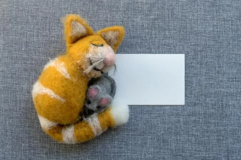 Happy tomcat Stock Photos