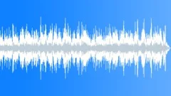 Happy Tone BGM with Fiddle (violin) Stock Music