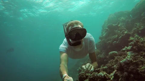Happy Tourist Snorkeling on the Reefs in the Maldives. FullHD 1080p video Stock Footage