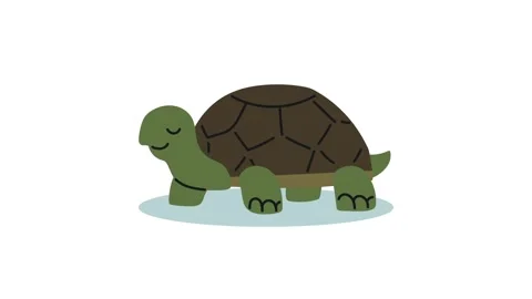 A happy turtle character in a simple animation moves its head in and out of.. Stock Footage 339066621